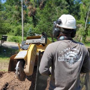 Daily Grind Stump Bros