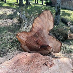 Quality First Tree Service