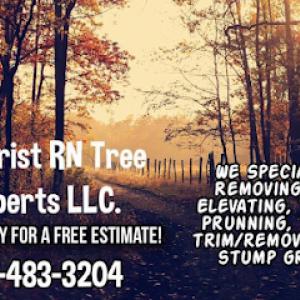 Arborist RN Tree Service