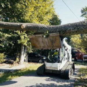 Layton's Tree & Crane Services