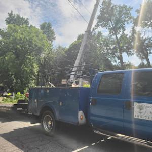 Good Choice X-pert Tree Service