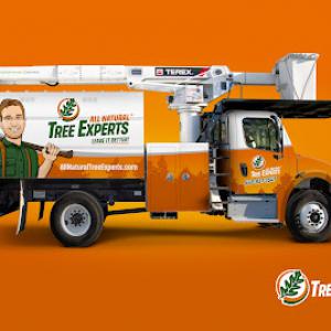 All Natural Tree Experts