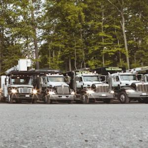 New England Tree Masters | Tree Service in Boxborough MA