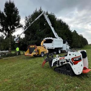 Christmas City Landscaping & Tree Service