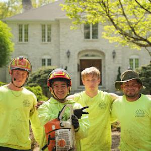 AllScapes Tree Service - Emergency Tree Removal, Trimming, Installation & Stump Grinding - Exeter, RI Office