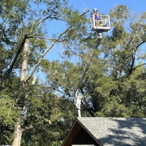 Hook & Ladder Tree Service