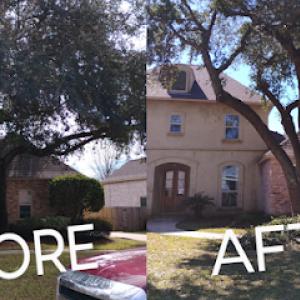 Big Mike's Tree Service