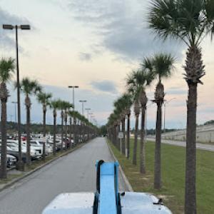 Southern Distinction Tree Service