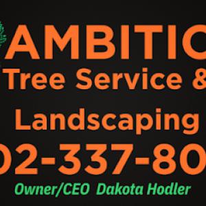 Ambition Tree Service & Landscaping