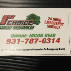 1St Choice Tree Service