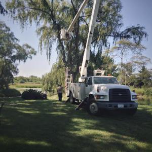 Community Tree Service