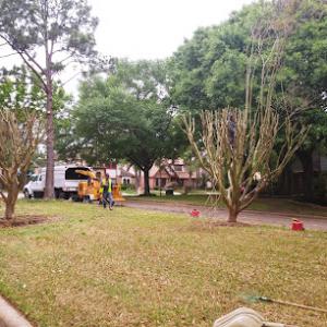 A-Source Tree Services