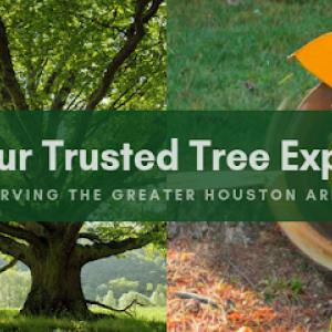 Highpoint Tree Care | Tree Service & Tree Removal Cypress, TX