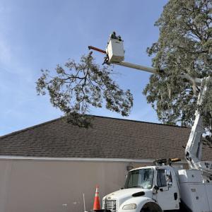 Priority Property Services FL