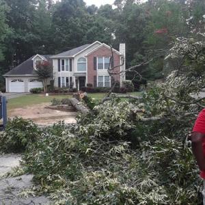 World Class Tree Service