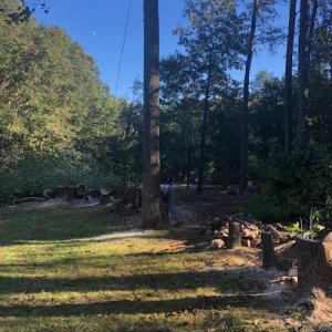 Old School Tree Service