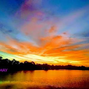 Floyd & Griffin Tree Wizard's, LLC. (FGTW's)