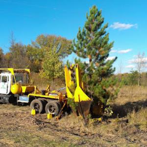Florida Heights Tree Services