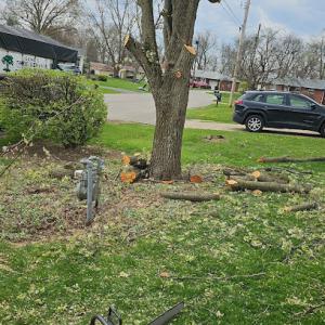 Gene's Tree & Landscaping