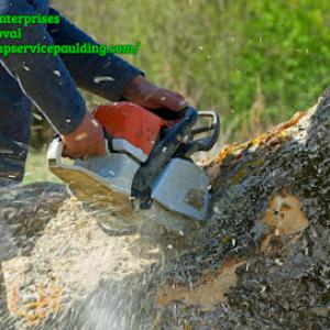 Carnahan Enterprises