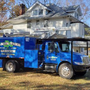 James Tree Service