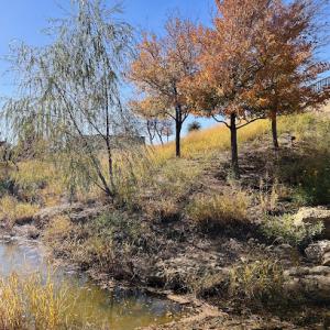 Tree Service Boss of Denison