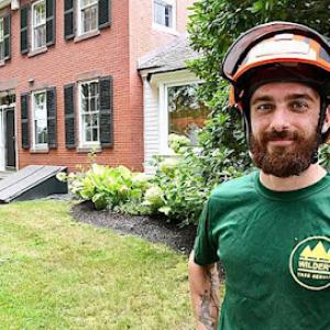 Wilder's Tree Service