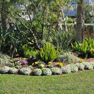 Mr Green Landscaping