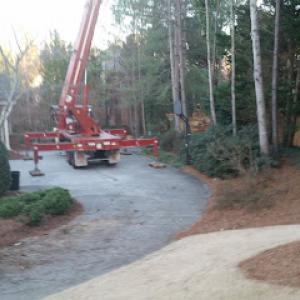 770 Arborist Emergency Tree & Crane Service