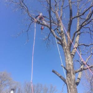 J & J Tree Service