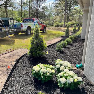 Elite Lawn Management