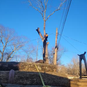 A&T Tree Service