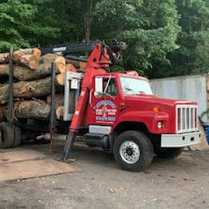 Tree Chief & Landscaping