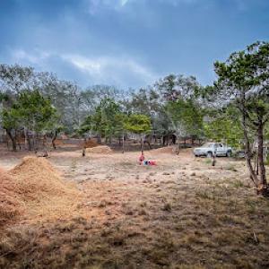 Texas Wildscapes' Billy Goat Clearing