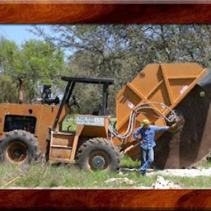 Oak Wilt Specialist of Texas