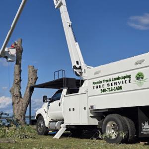 Premier Tree & Landscaping