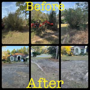 Clipped To Perfection Lawn Care & Landscaping