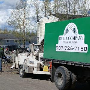 Eagle River Tree Service