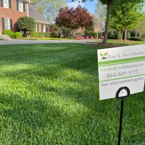 Plant & Tree Solutions