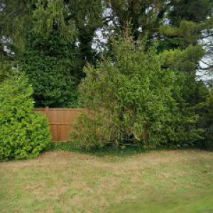 Amagreen Tree & Lawn Service