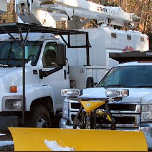 James English Tree Service