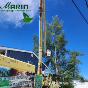 Marin Landscaping & Tree Service