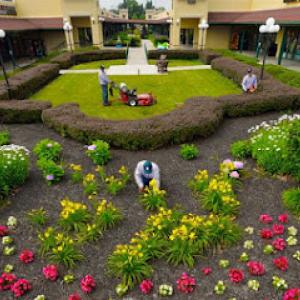 U.S. Lawns - McAllen TX