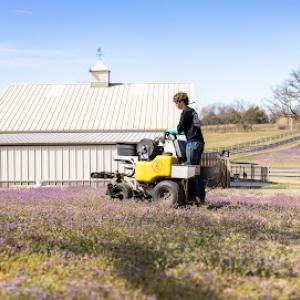 American Western Lawn & Landscape