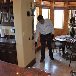 Delta Pest Control & Lawn Service