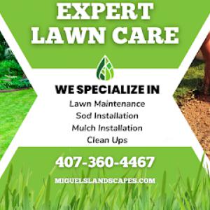 Miguel's Maintenance