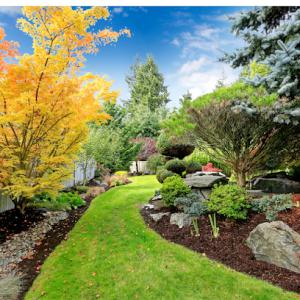 Elgin Landscaping, Tree & Lawn