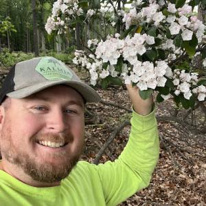 Kalmia Ornamental Tree & Shrub Care