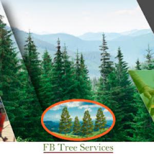 FB Tree Services