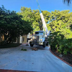 Oakleaf Tree Services